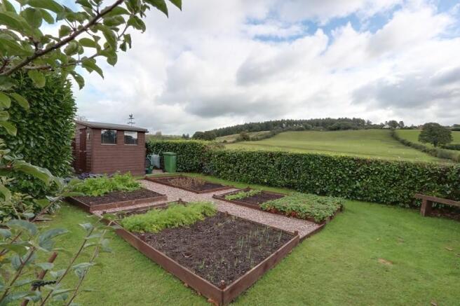 Vegetable Garden