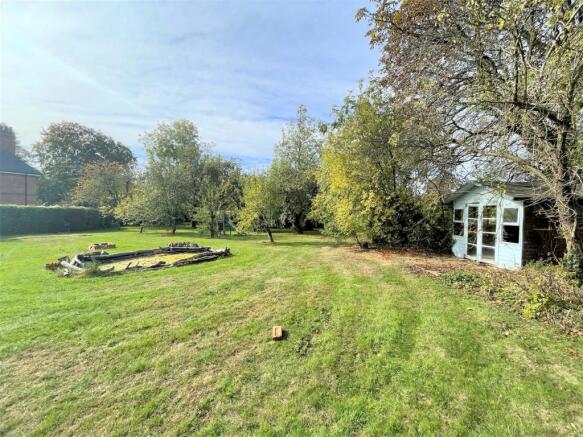 Garden 2.JPG