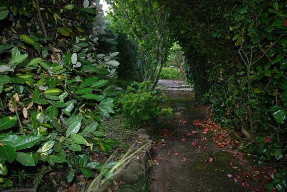 Pathway