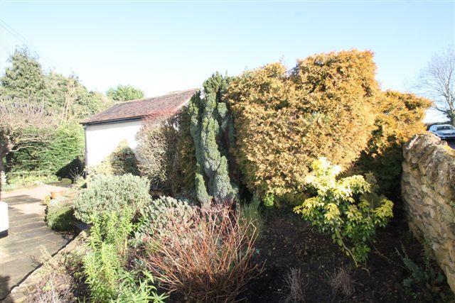 garden1.JPG