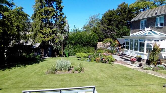 Garden in the Summer