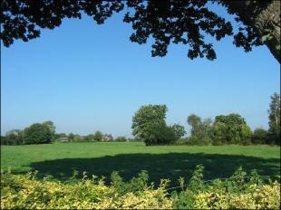 View from Garden