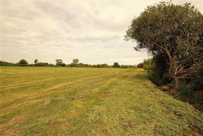 Field