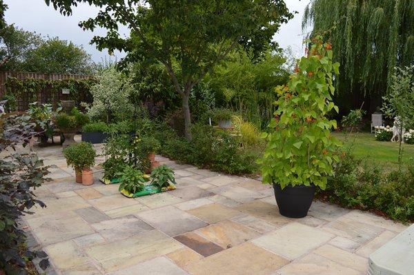 garden