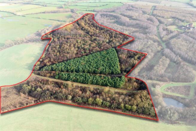 Woodland North of Swepstone Rd