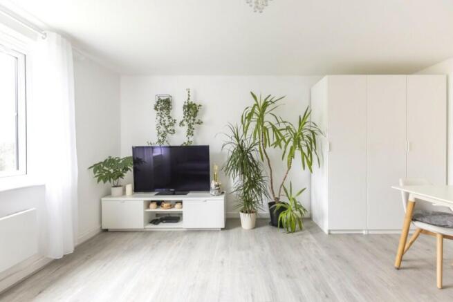 Lounge / Dining Room
