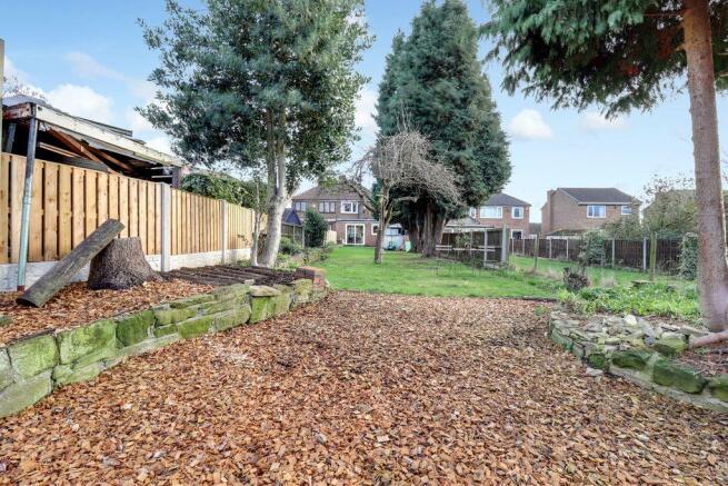 Garden at Back