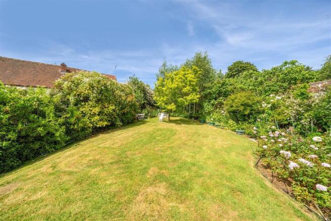 Back garden