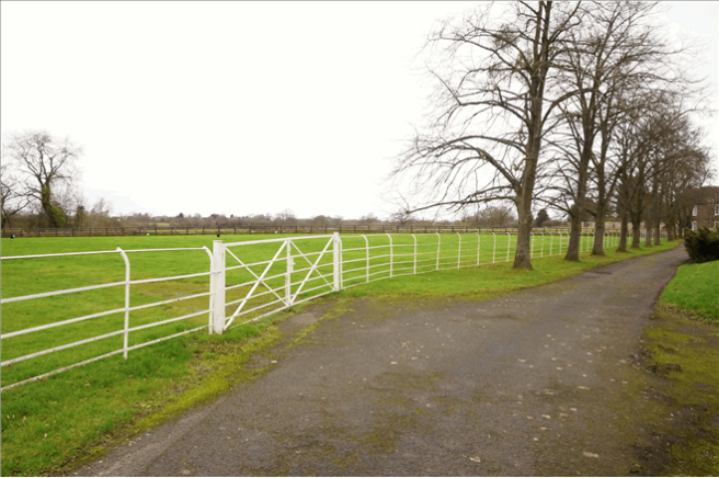 Driveway