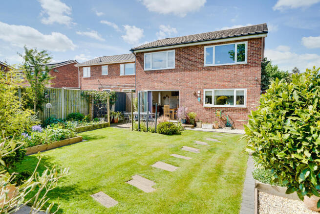 Back Garden