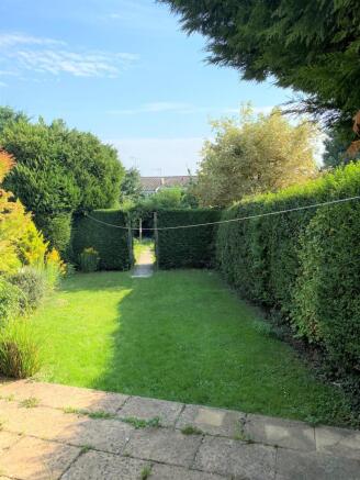lawn