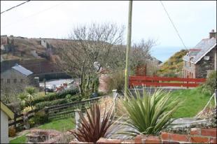 View from garden