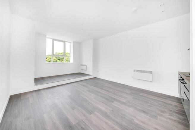 Open Plan Kitchen and Living Area