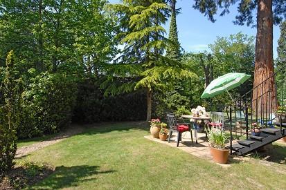 Patio Area
