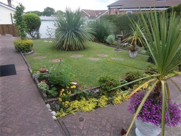 Photo 11