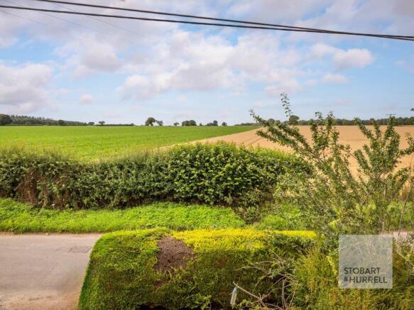 Field Views