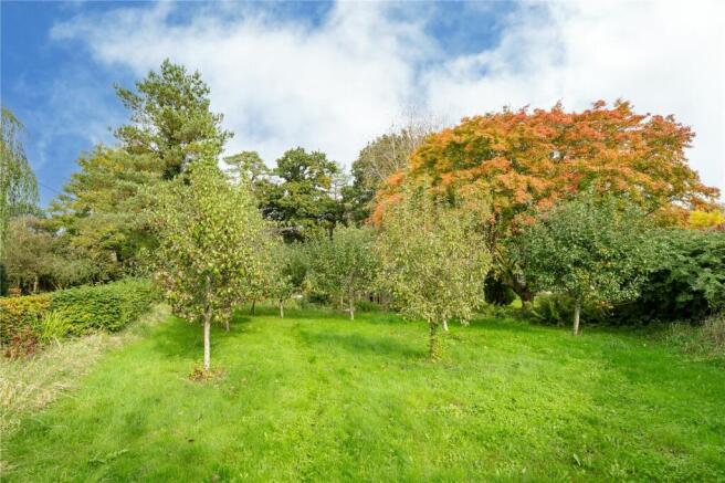 Orchard