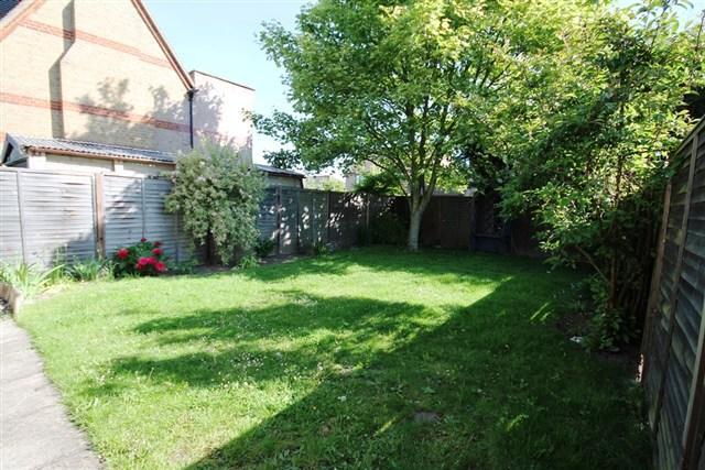 Back garden