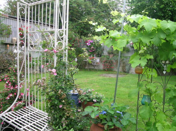 Photo 19