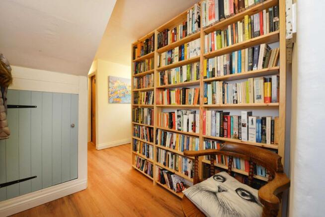 Study Area