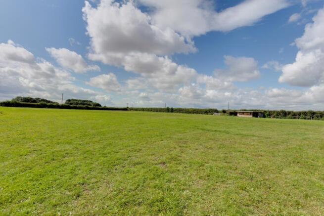 Grazing Paddock 1