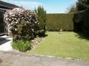 Front garden