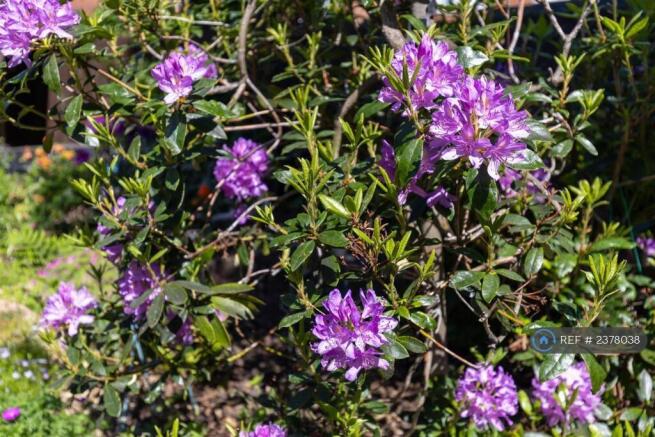 Garden Surrounds, Wide Mix Of Plants To Admire