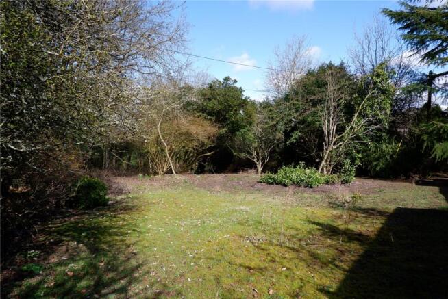 Rear Gardens