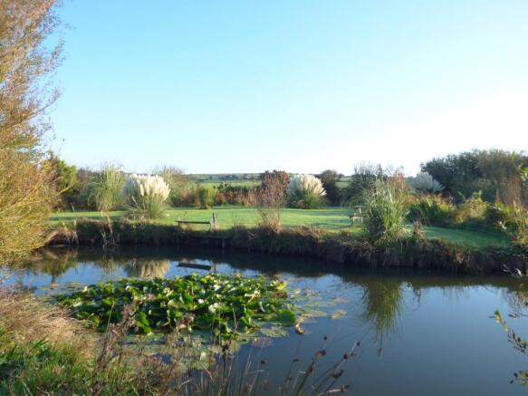 Pond