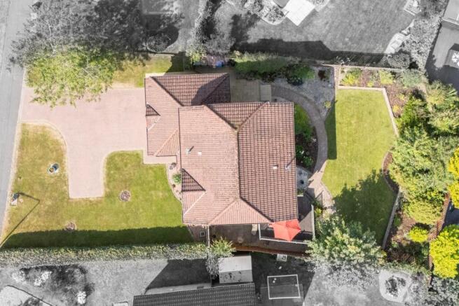 Ariel View