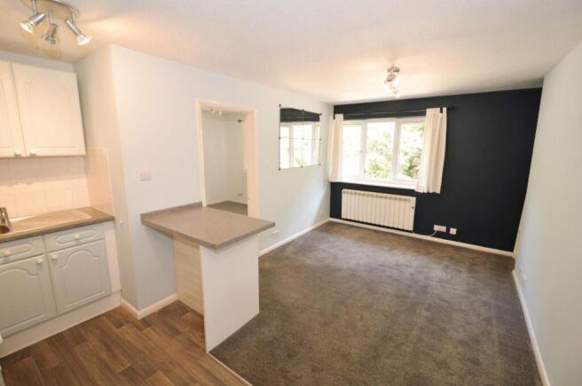 Kitchen/Living room