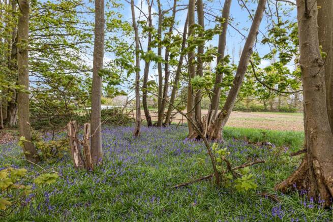 Land behind Elliotts Lane Additional.jpg