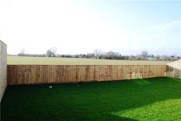 Rear garden / view
