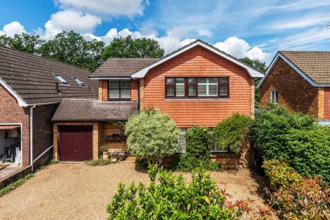 Merrow Woods, Guildford, Surrey, GU1