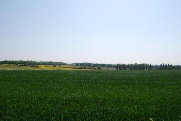 Picture No.17