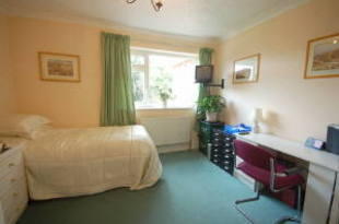 Photo 11