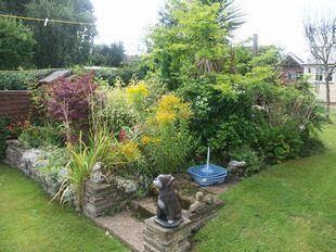 Photo 11