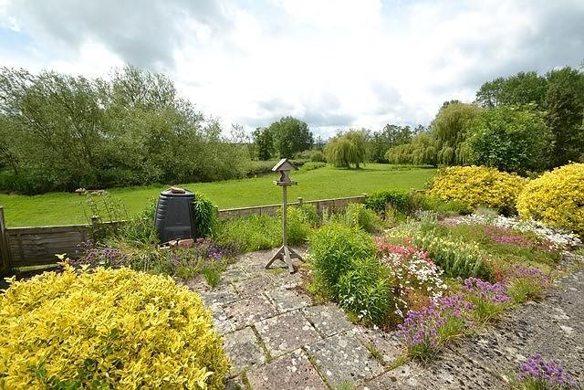 View from Garden