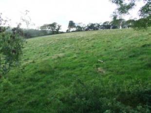 The Land
