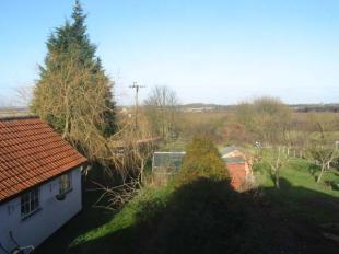 View over garden
