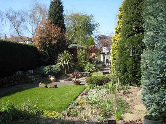 Photo 7