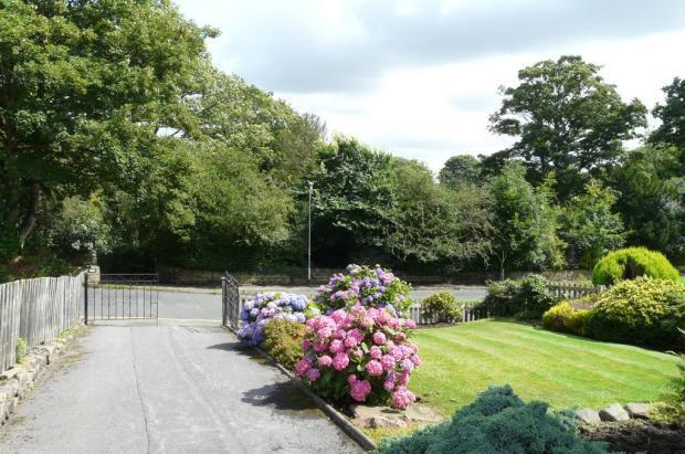 Front Garden