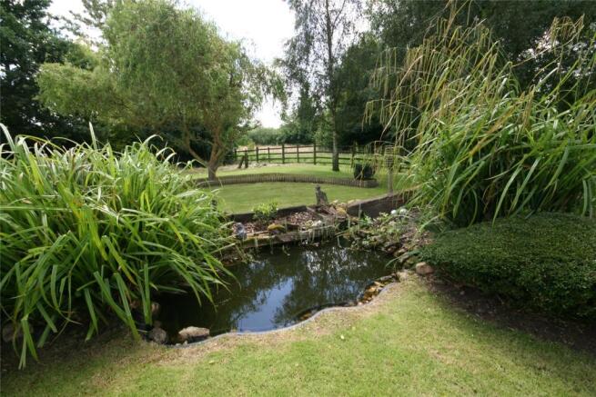 Pond