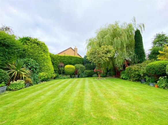Garden 4.jpg