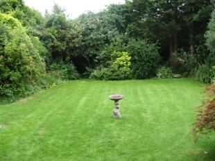 Rear Garden 2