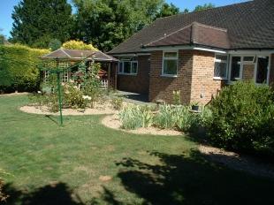 Garden Shot 2