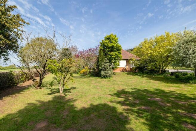 Large Garden
