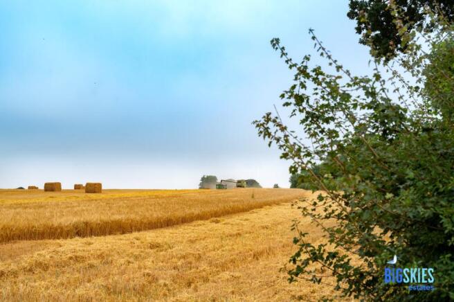 Nearby Field