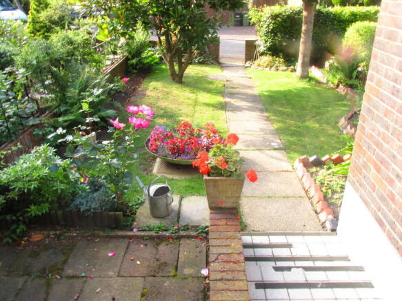 Photo 15