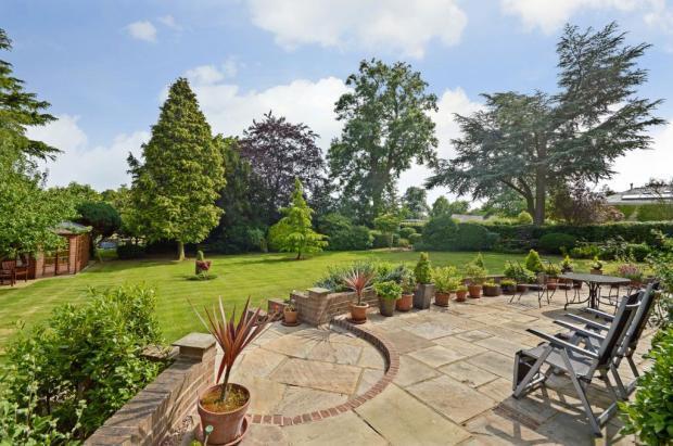 Terrace View